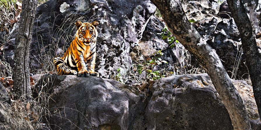 havgarh